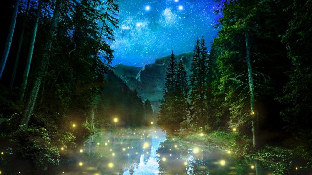 The night scene of a forest with stars in the sky and dots of light on the forest floor and river